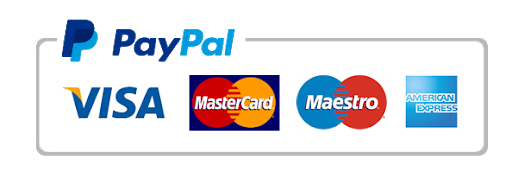 Paypal Visa